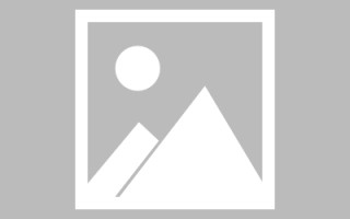 长岭广州专业搭建网站平台（广州网站建设方案开发）